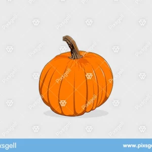 Cartoon Style Pumpkin Vector