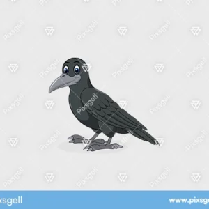 Crow Vector Cartoon Illustration