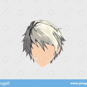 Anime Hairstyle Vector