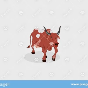 Brown Cow Vector