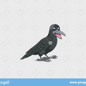 Cartoon Crow Vector