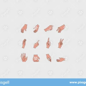 Hands gestures vector