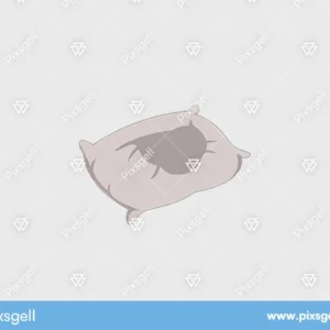 Cartoon Pillow Vector