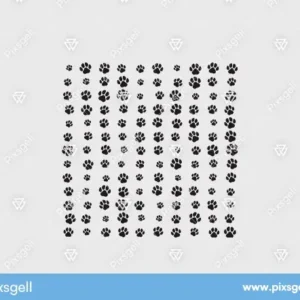 Dog paw pattern vector