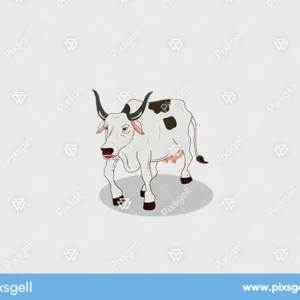 Grey Cow Cartoon Vector