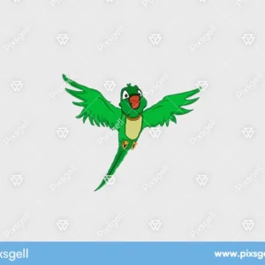 Parrot Cartoon Vector