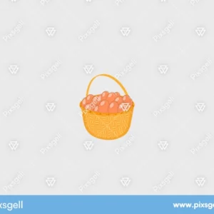 Premium Egg Basket