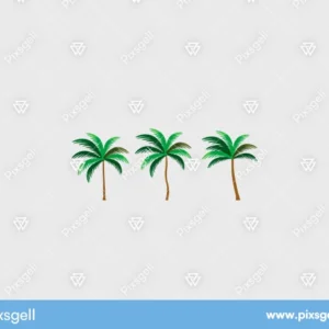 Realistic Coconut Tree Vector Illustration